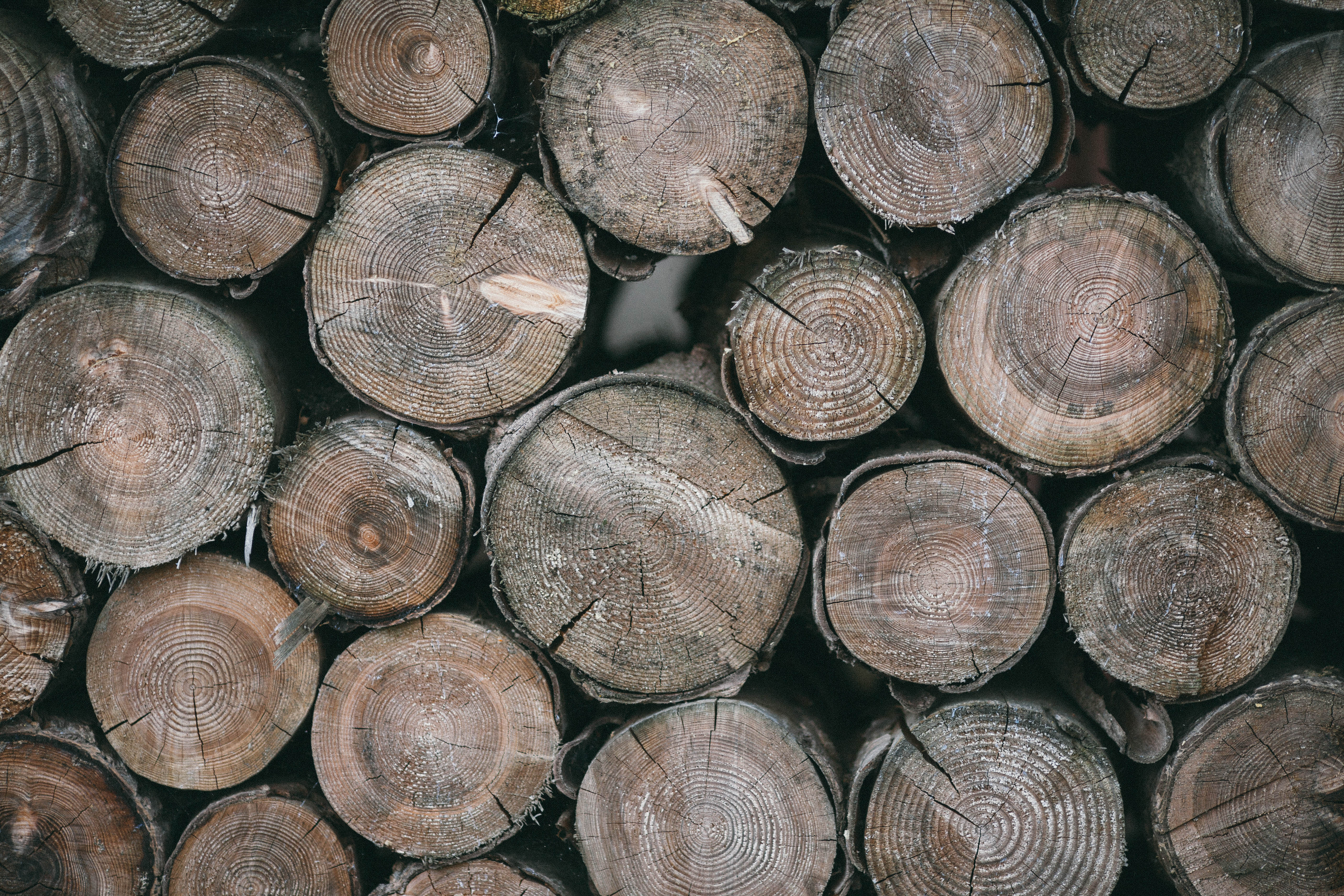 Výroba dreveného nábtyku
